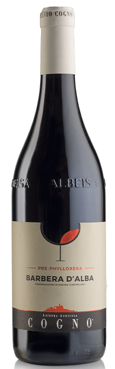 Barbera d'Alba "Pre-Phylloxera" 2023 - Elvio Cogno