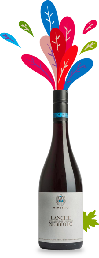 Langhe Nebbiolo Enrico Rivetto