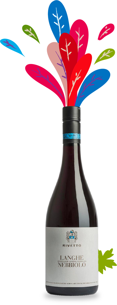 Langhe Nebbiolo Enrico Rivetto