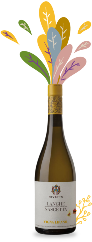 Langhe Nascetta Vigna Lirano 2022 – Enrico Rivetto