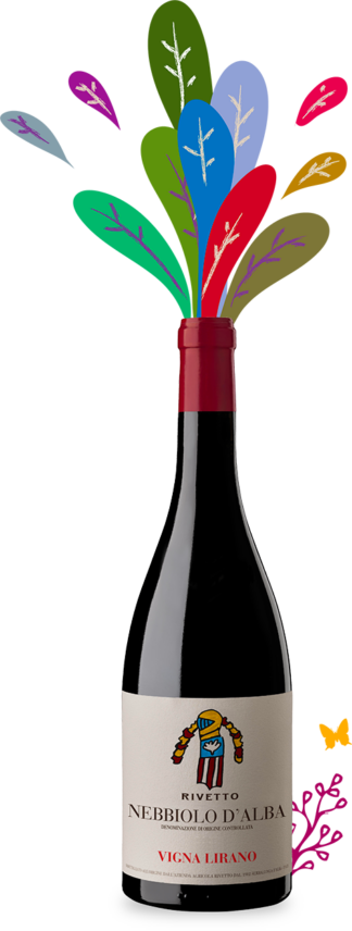 Nebbiolo Vigna Lirano Enrico Rivetto